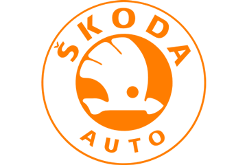 Автомобільні шторки на Skoda